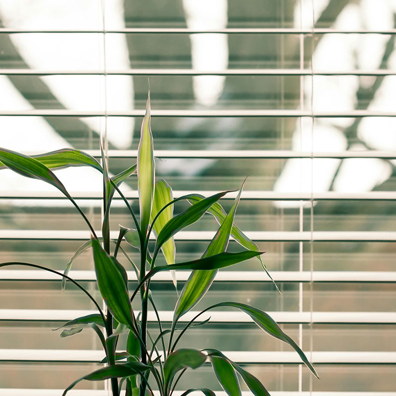venetian5 Blinds - FlooringStore.co.za Shop Venetian Blinds South Africa