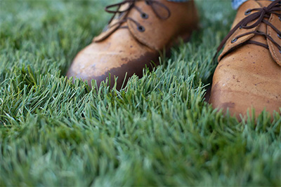 Artificial grass FAQ