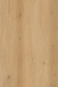 Hazelnut