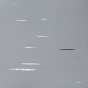 MF2517 Lead Floorworx vinyl Unitile Comparison Overview Flooring Types - FlooringStore.co.za Lead/MF2517