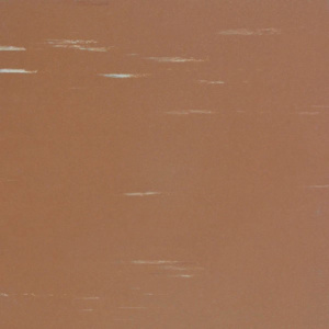 MF2557 Baobab Floorworx vinyl Unitile Comparison Overview Flooring Types - FlooringStore.co.za Baobab/MF2557