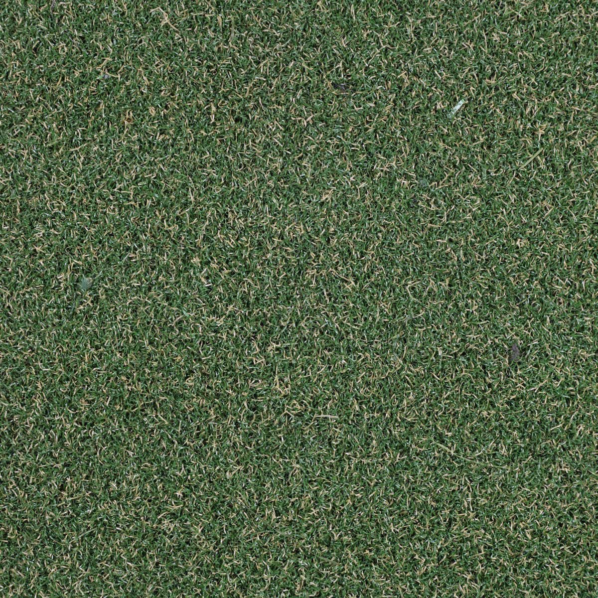Floornet Mundo 10 Artificial Grass Buy Online with Nationwide Delivery - FlooringStore.co.za