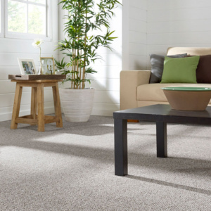Flooring Netword Carlton Carpet Buy Online with Nationwide Delivery - FlooringStore.co.za