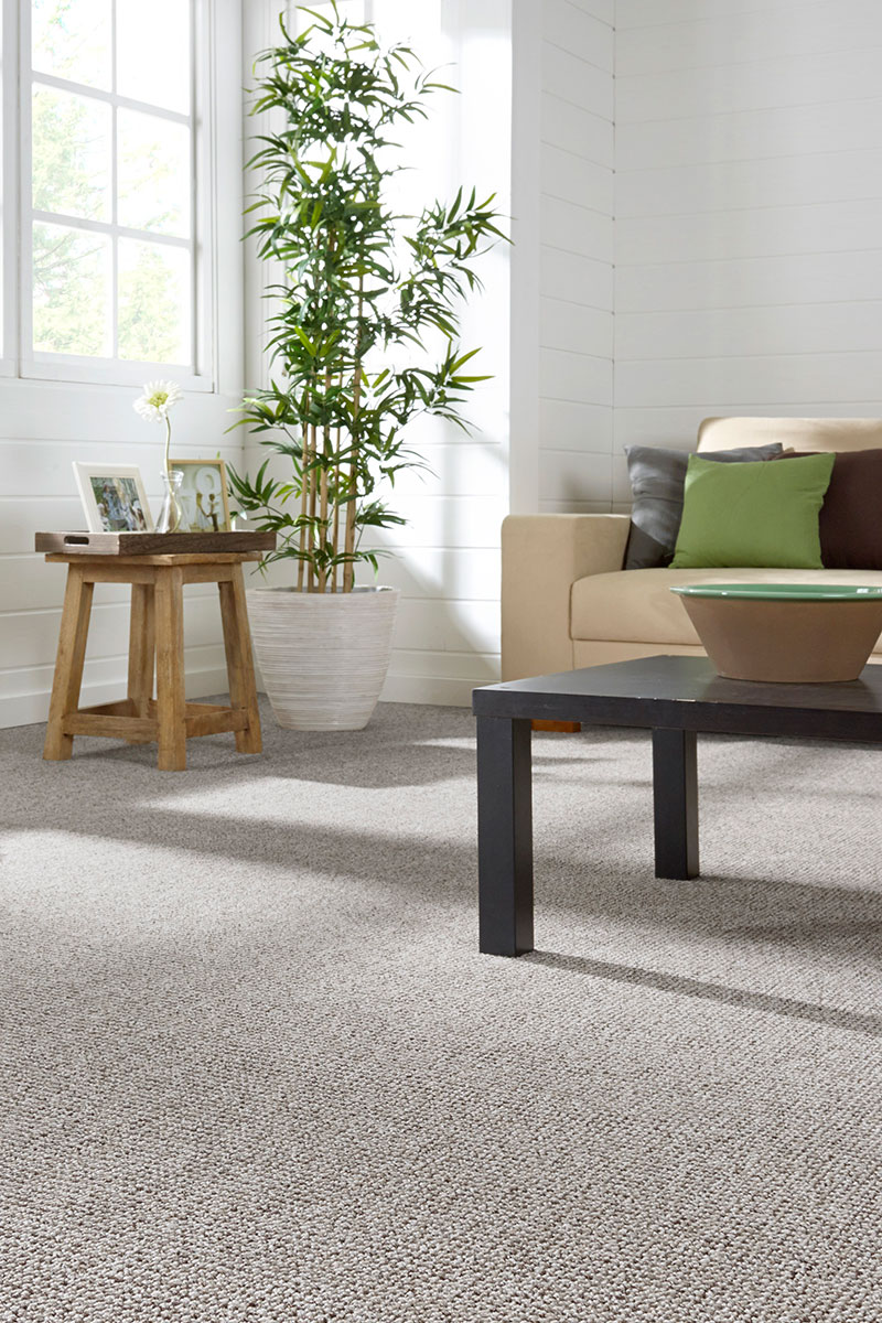 Flooring Netword Carlton Carpet Buy Online with Nationwide Delivery - FlooringStore.co.za