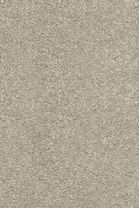 Coriander 2511