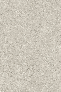 Sesame 2510