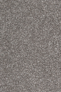 Sage Brush 431