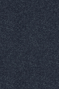 Blueberry 165