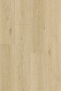 Zephyra