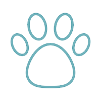 Pet Friendly Vinyl SPC Rigid Planks click system - FlooringStore.co.za Pet & Kid Friendly