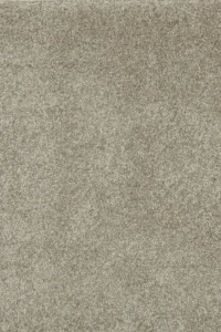 Mushroom Brown 67