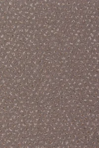 Medium Beige 67
