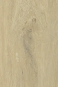Alder
