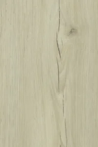 Maple