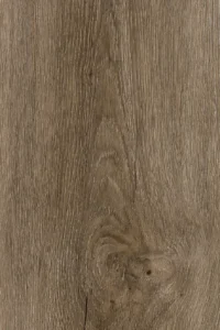 Poplar