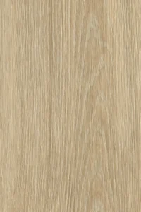 Cork Oak