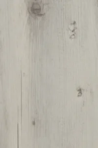 Beach Shack