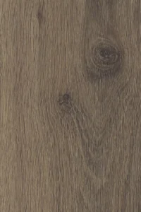 Cedar