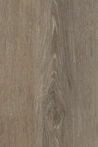 Larch