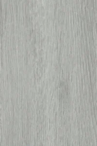 Spruce