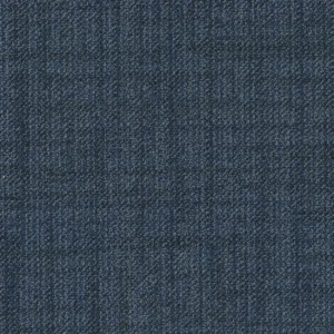 Blueberry 11