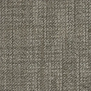 Coconut 2606