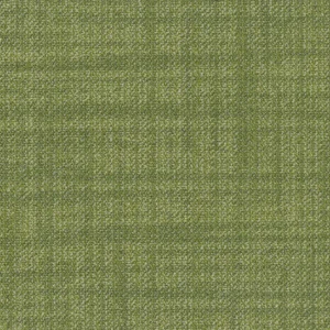 Kiwi 14