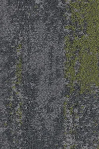 Fields